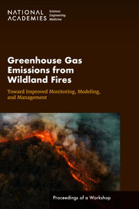 Greenhouse Gas Emissions from Wildland Fires