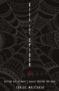 Kill the Spider
