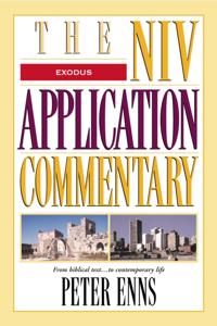 The NIV Application Commentary