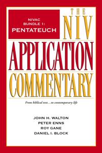 The NIV Application Commentary