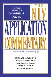 The NIV Application Commentary