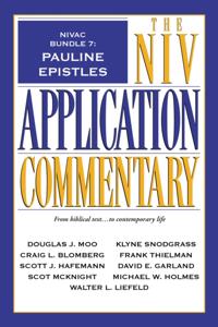The NIV Application Commentary