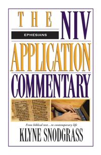 The NIV Application Commentary