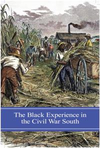 Reflections on the Civil War Era