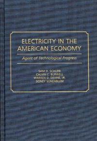 Electricity in the American Economy