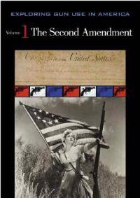 Bokomslag for "Exploring Gun Use in America"