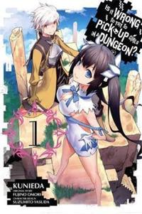 Is It Wrong To Try To Pick Up Girls In a Dungeon?, Vol. 1 (Manga)