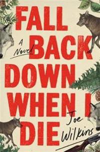 Bokomslag for "Fall Back Down When I Die"