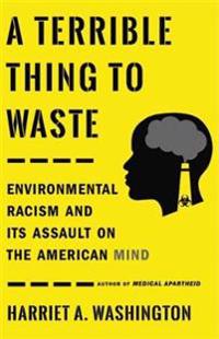 Bokomslag for "A Terrible Thing to Waste"