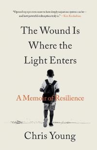 The Wound Is Where the Light Enters