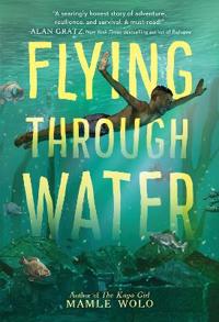 Bokomslag för "Flying through Water"