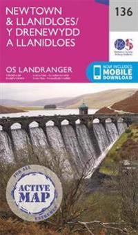 Bokomslag for "Newtown & Llanidloes"