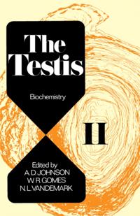 Testis