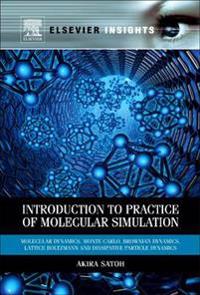 Introduction to Practice of Molecular Simulation