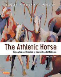 Athletic Horse