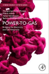 Power-to-Gas: Bridging the Electricity and Gas Networks