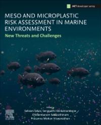 Meso and Microplastic Risk Assessment in Marine Environments