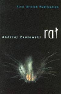 Rat
