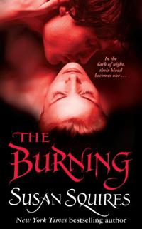 The Companion series