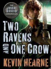 The Iron Druid Chronicles