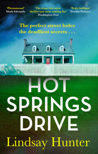 Bokomslag for "Hot Springs Drive"