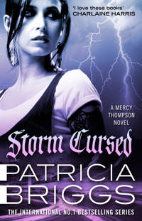 Bokomslag for "Storm Cursed"