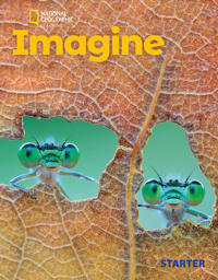Imagine Starter with the Spark platform (AME)