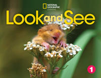Look and See 1 with the Spark platform