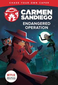 Carmen Sandiego Chase-Your-Own Capers