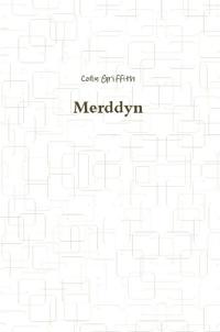 Merddyn