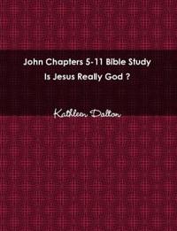 John Chapters 5-11 Bible Study Is Jesus Really God?