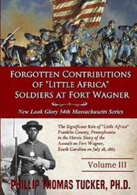 Forgotten Contributions of "Little Africa" Soldiers at Fort Wagner