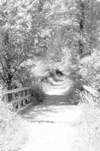 bridges