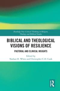 Kirjan kansi "Biblical and Theological Visions of Resilience"