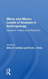 Micro And Macro Levels Of Analysis In Anthropology