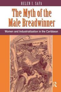 Bokomslag för "The Myth Of The Male Breadwinner"