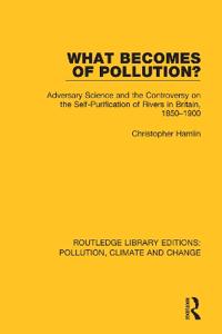 Bokomslag för "What Becomes of Pollution?"
