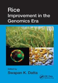 Rice Improvement in the Genomics Era