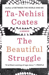 Beautiful Struggle