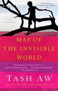 Map of the Invisible World