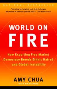 World on Fire: How Exporting Free Market Democracy Breeds Ethnic Hatred and Global Instability