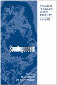 Somitogenesis