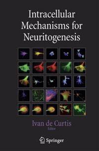 Intracellular Mechanisms for Neuritogenesis
