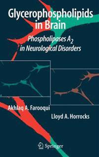 Kirjan kansi "Glycerophospholipids in the Brain"
