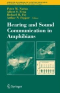 Springer Handbook of Auditory Research