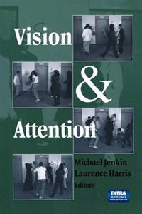 Vision and Attention