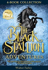 Black Stallion