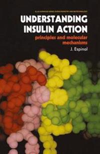 Understanding Insulin Action