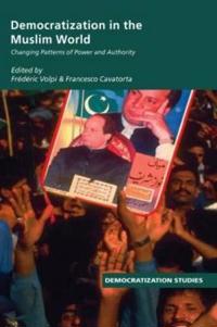 Bokomslag for "Democratization in the Muslim World"