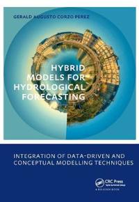 Hybrid models for Hydrological Forecasting: integration of data-driven and conceptual modelling techniques